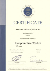 Arboriste certifié Koen Devriendt Travailleur de l'arbre européen ( ETW ) Inventaire plan boo  