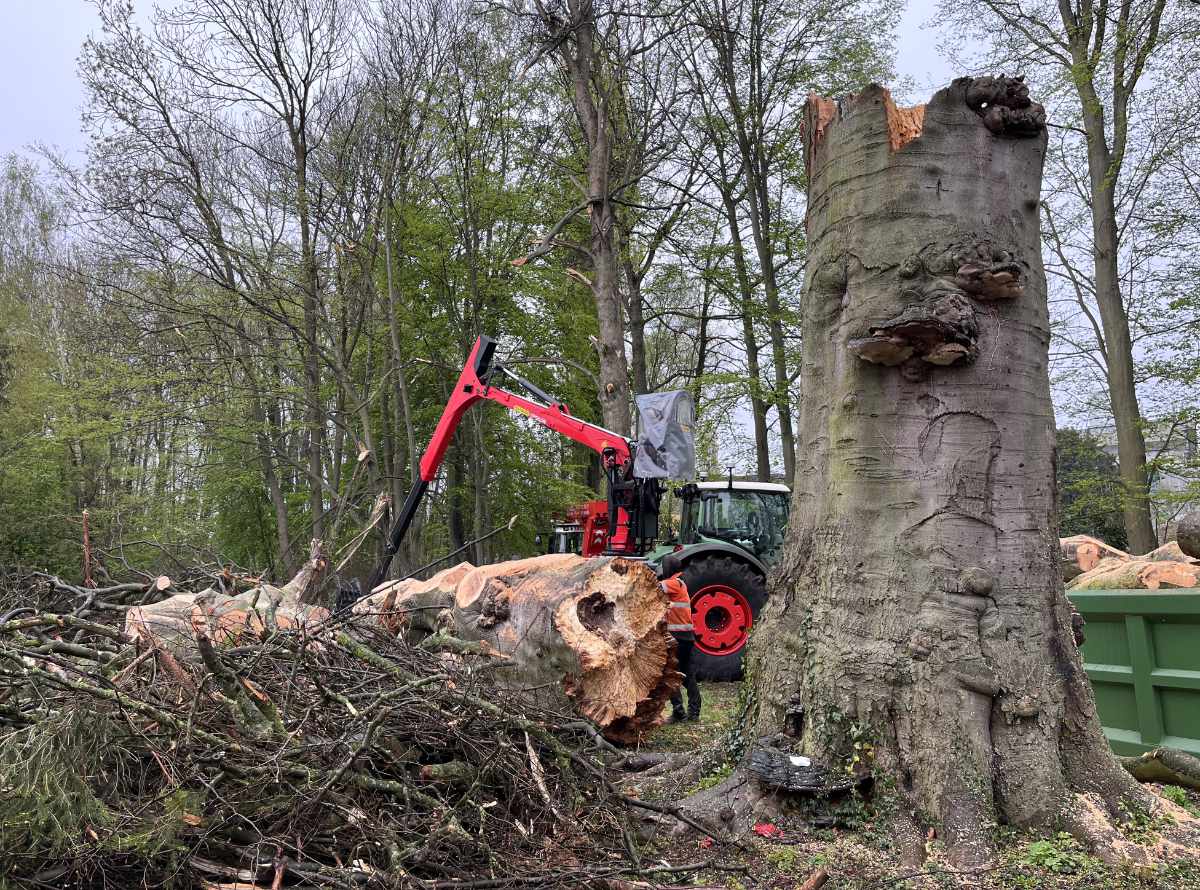 opkuisen stormschade 