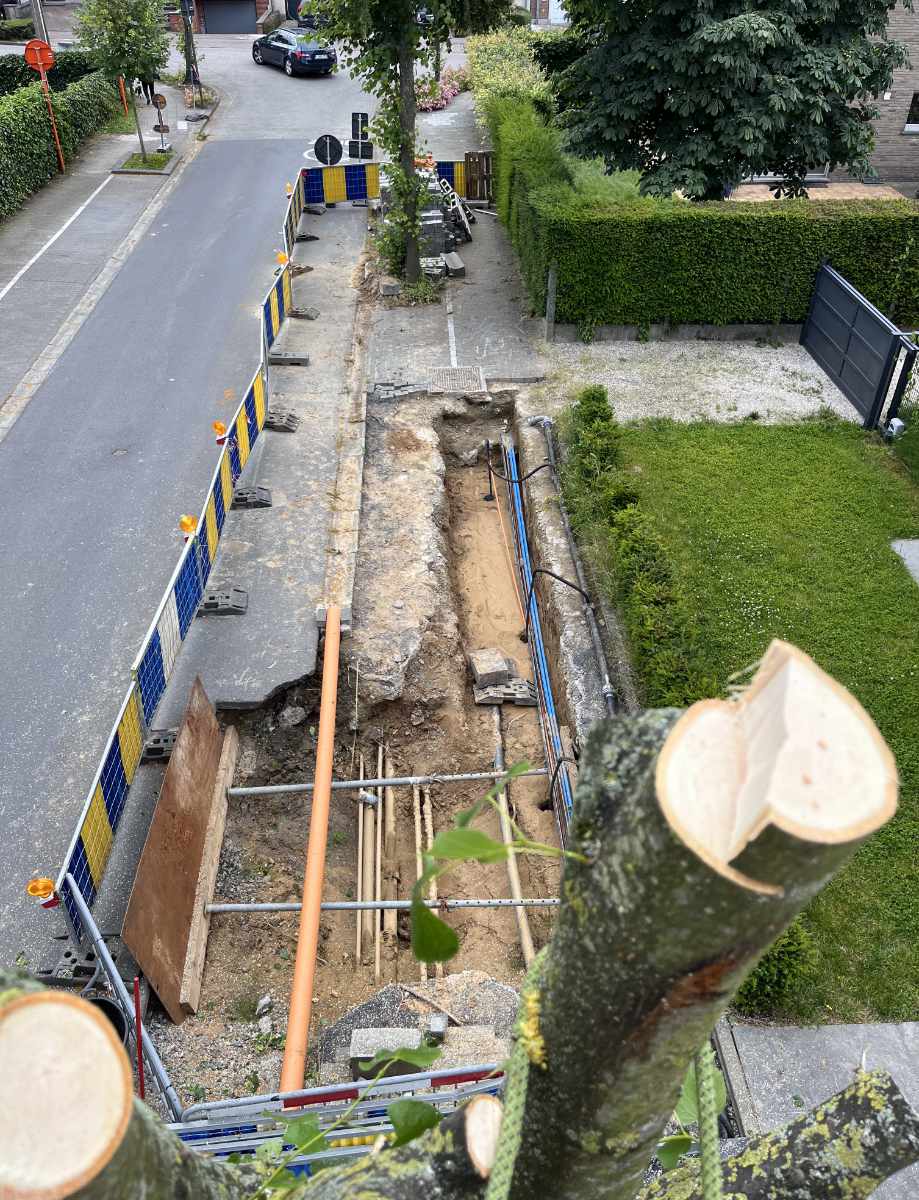 acuut gevaar bij nutsleidingen bomen 