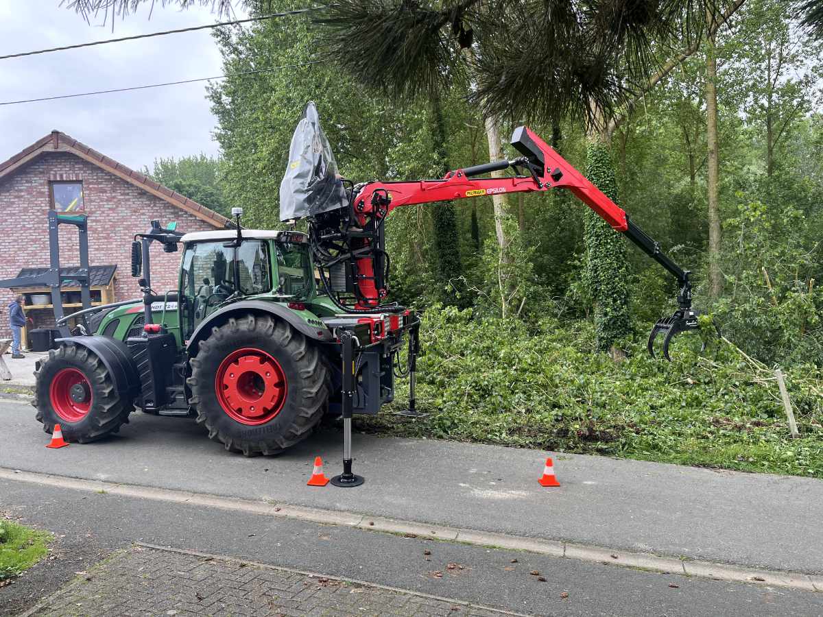 opruimen bomen Knippen bomen 