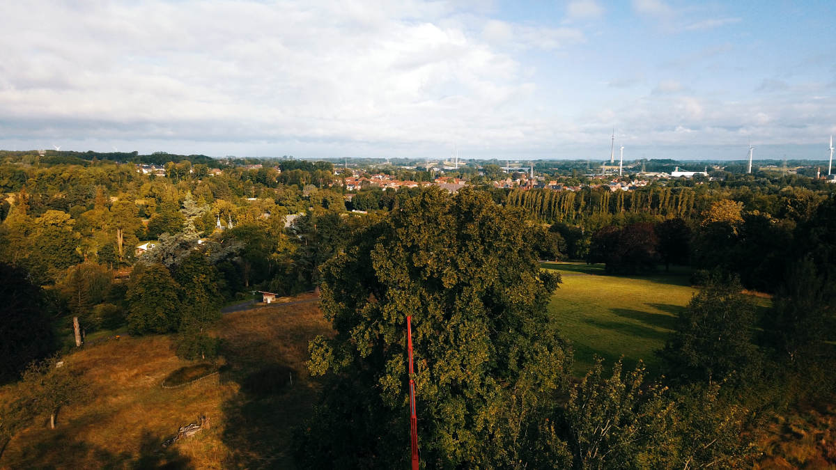 boomverzorging Devriendt-agro Roosdaal 