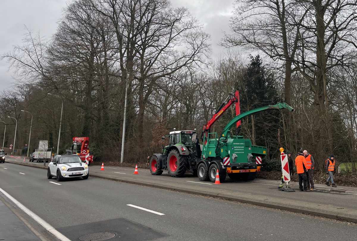 Verhakselen van takken Dilbeek