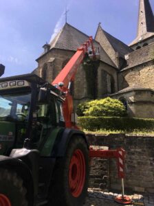 liane sur arbre et bâtiment