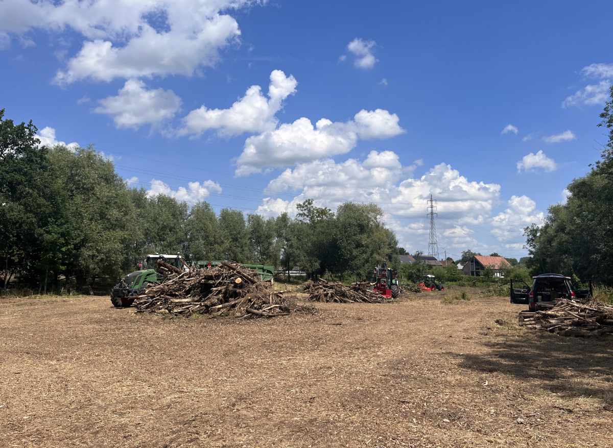 Opkuisen bos en kruinen 