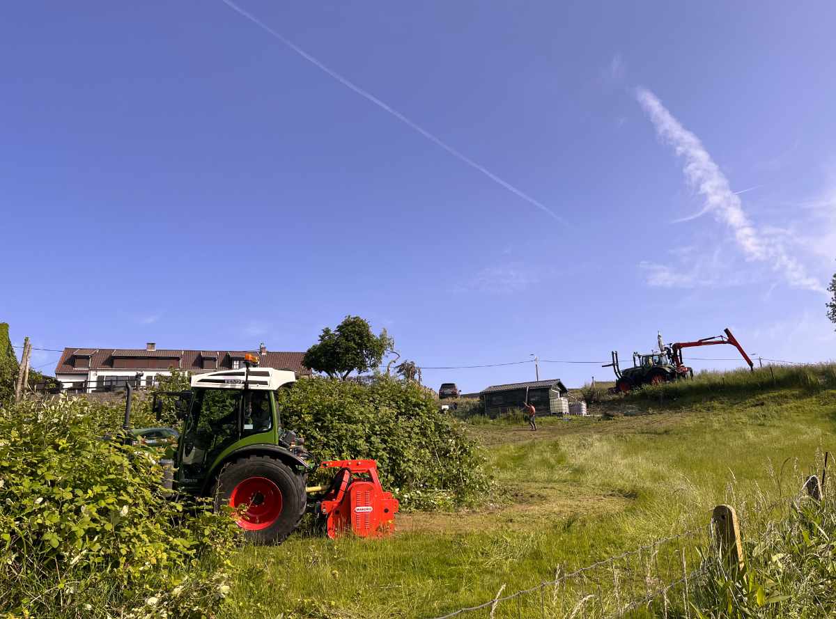 Landschapsbeheer van weide en gras 