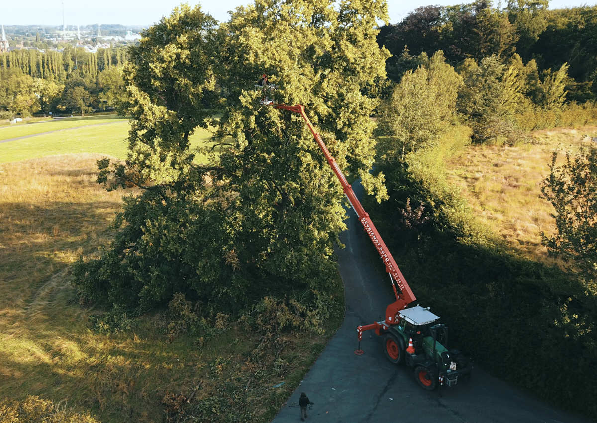 Moeilijke boom snoeien met hoogtewerker 