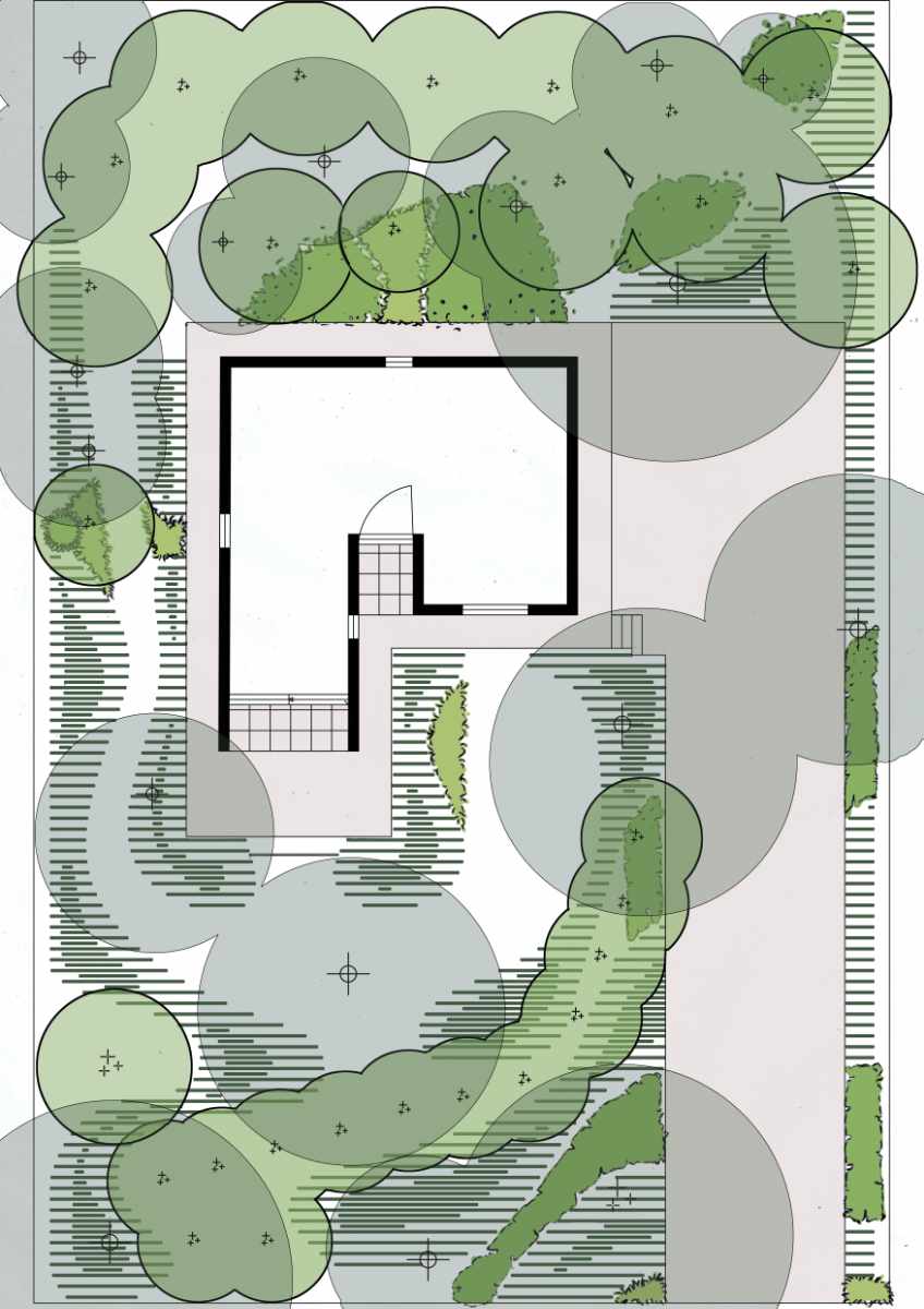 Inventarisatie en beheerplan bomen 