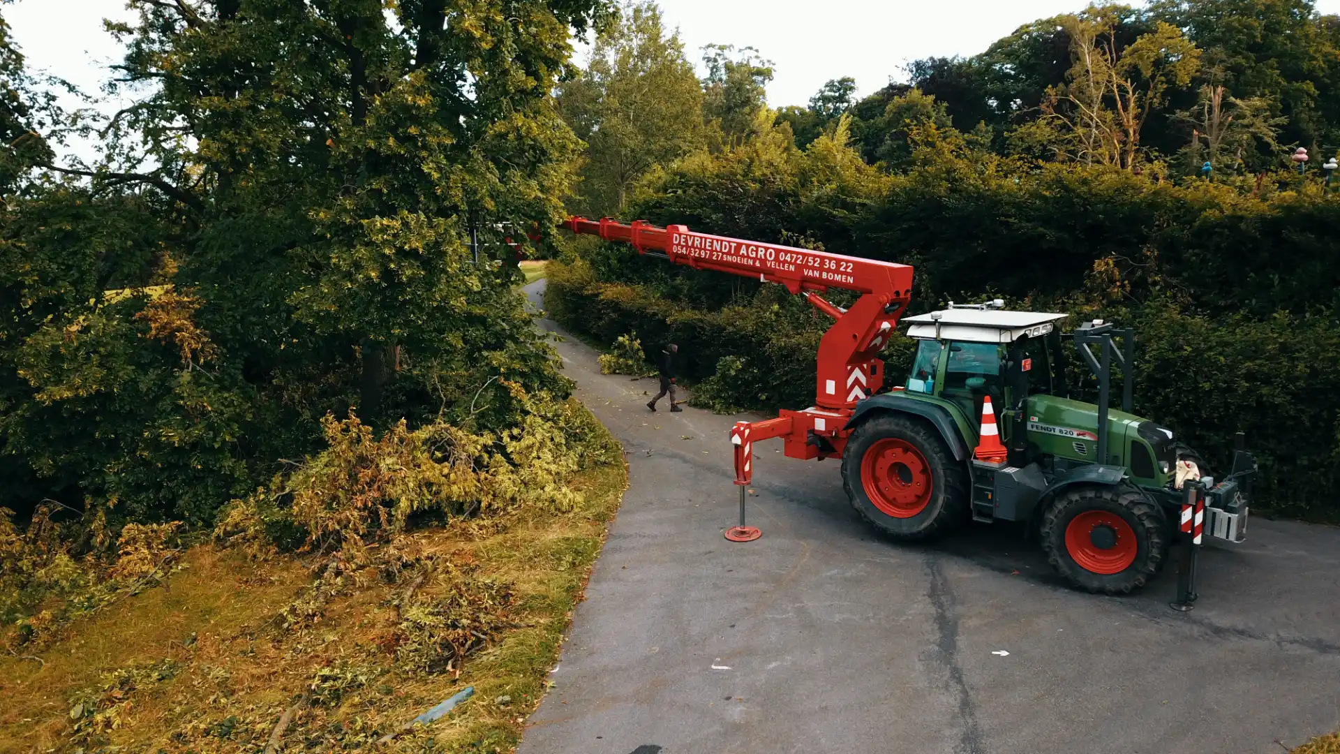 Grote moeilijke boom vellen en afzagen 