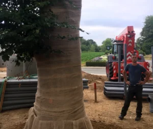 Arbres anciens et protégés de grande valeur  