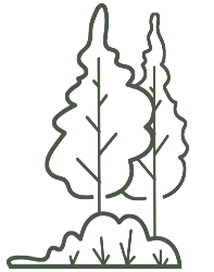 tuinwerken, tuinondehoud, tuinaanleg